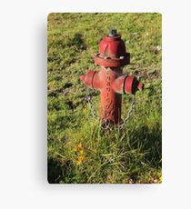 Hydrant in a Field Canvas Print