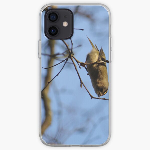 Goldcrest Gymnastics iPhone Soft Case