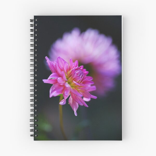 Item preview, Dahlia Flower On A Dahlia Dinnerplate  designed and sold by Joy Watson - Natural Light Photography .