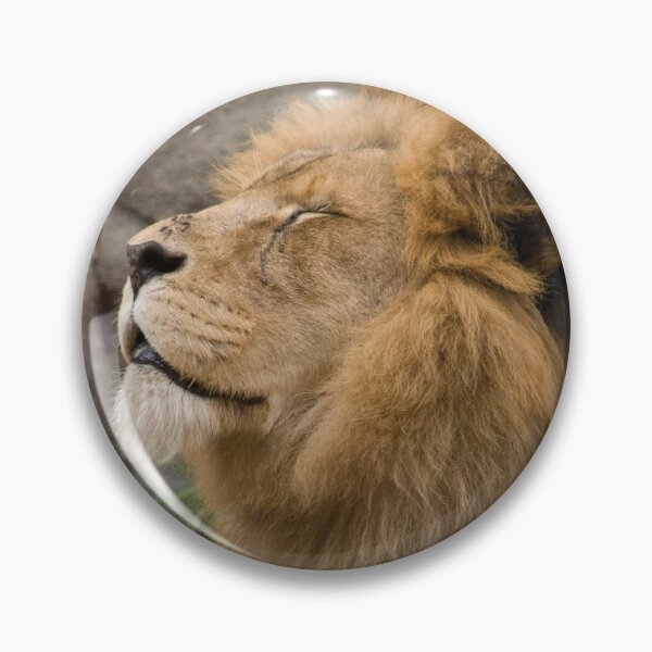 Item preview, Sun Bathing Lion designed and sold by SpectreSparkC.