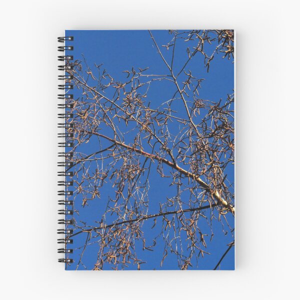 Item preview, Silver Birch Tree Catkins designed and sold by wiggyofipswich.