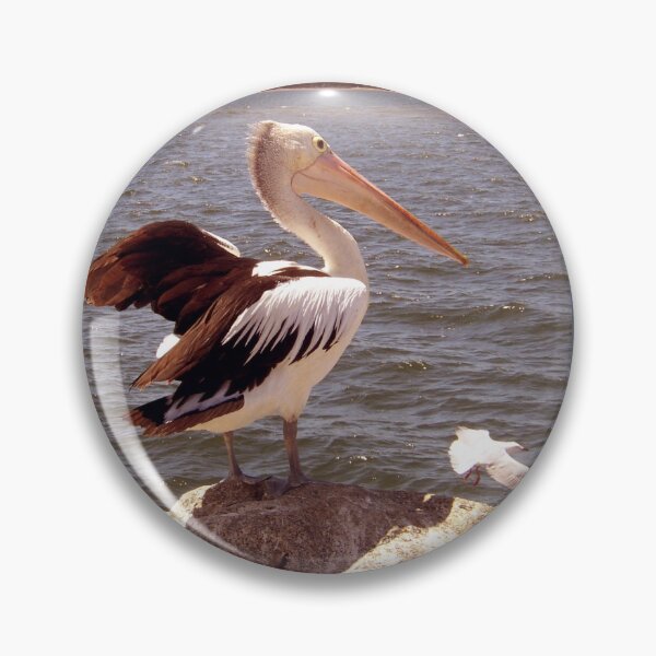Item preview, Pelican and Seagull - ed01 designed and sold by Elisabeth Dubois.