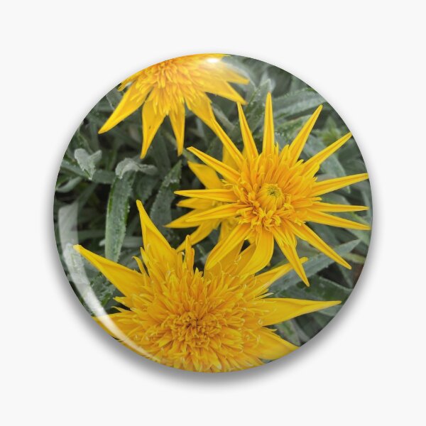 Item preview, Happy Gazanias - Sunny yellow flowers in summer designed and sold by Rachel Pile.