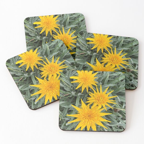 Item preview, Happy Gazanias - Sunny yellow flowers in summer designed and sold by Rachel Pile.