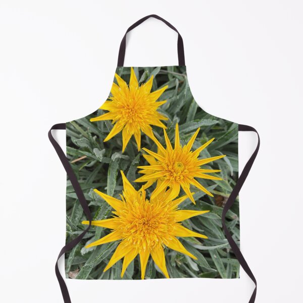Item preview, Happy Gazanias - Sunny yellow flowers in summer designed and sold by Rachel Pile.