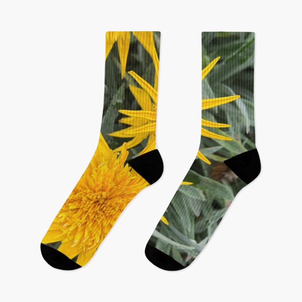 Item preview, Happy Gazanias - Sunny yellow flowers in summer designed and sold by Rachel Pile.