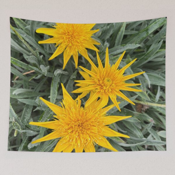 Item preview, Happy Gazanias - Sunny yellow flowers in summer designed and sold by Rachel Pile.