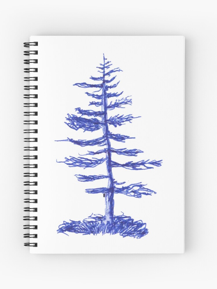 Drawing Tree Pine Sketch, PNG, 600x763px, Drawing, Art, Artwork, Black And  White, Branch Download Free