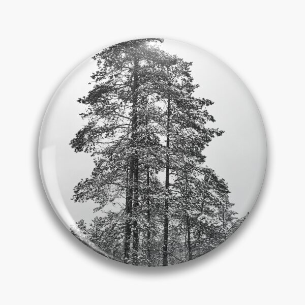 Item preview, Black and white pines designed and sold by Jouko Lehto Photography.