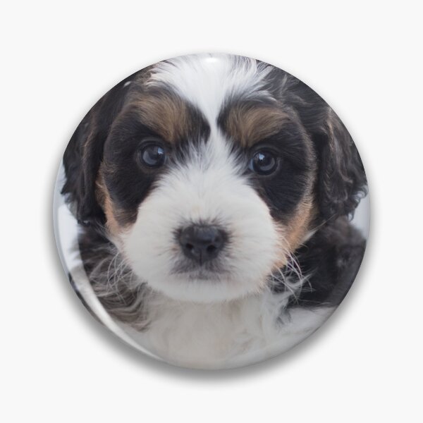 Item preview, little cute puppy designed and sold by Roostaman.
