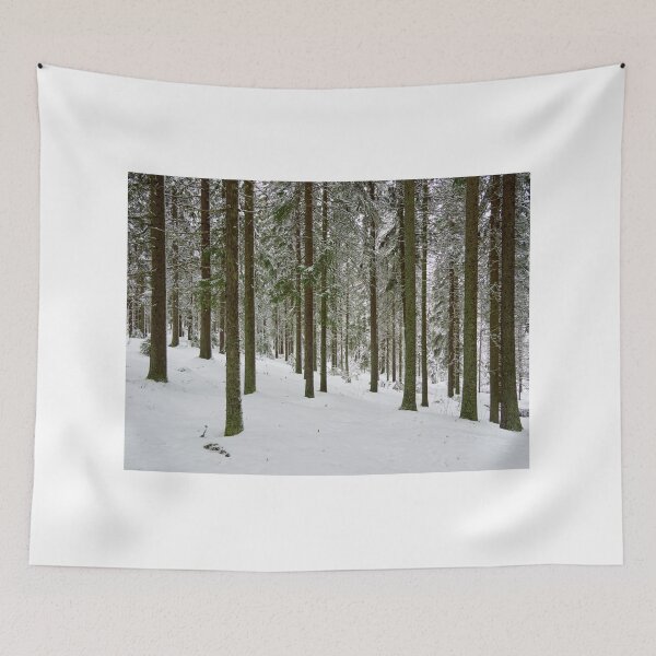 Item preview, Spruces like candles designed and sold by Jouko Lehto Photography.