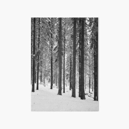 Artikel-Vorschau von Monochrom Kerzenfichtenwald, designt und verkauft von Jouko Lehto Photography.