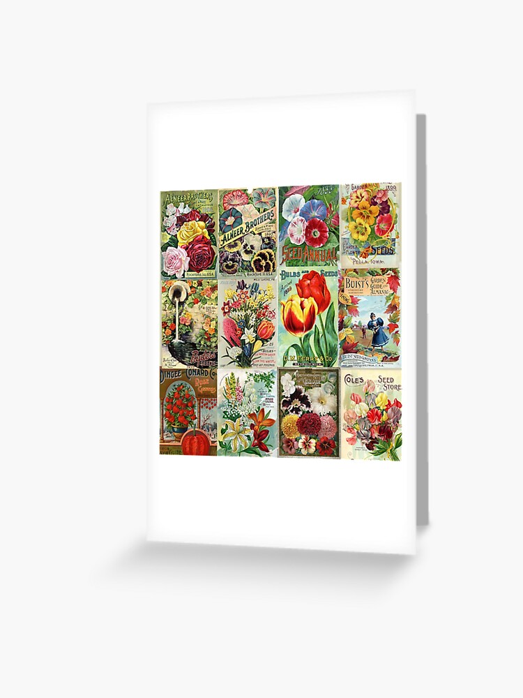 Vintage Flower Seed Packets 1 Poster by Peggy Collins - Fine Art