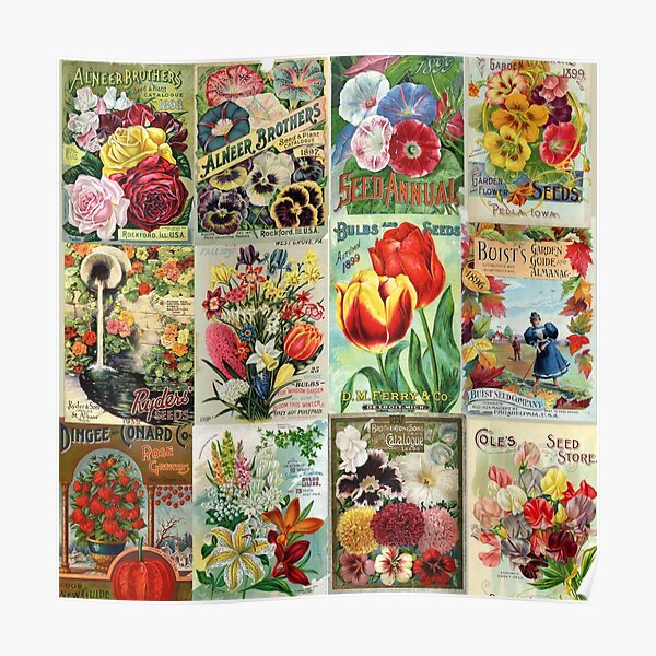 Vintage Flower Seed Packet Illustrations 1 Mosaic Poster