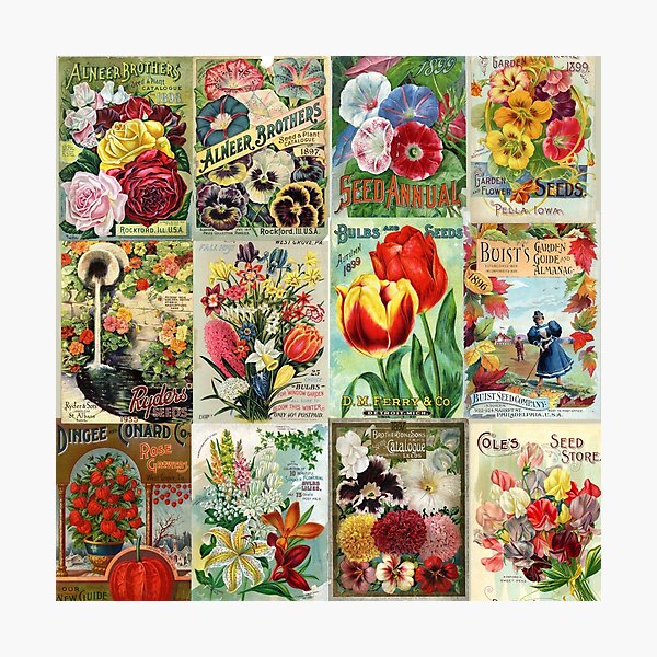 Vintage Flower Seed Packets 1 Zip Pouch by Peggy Collins - Pixels