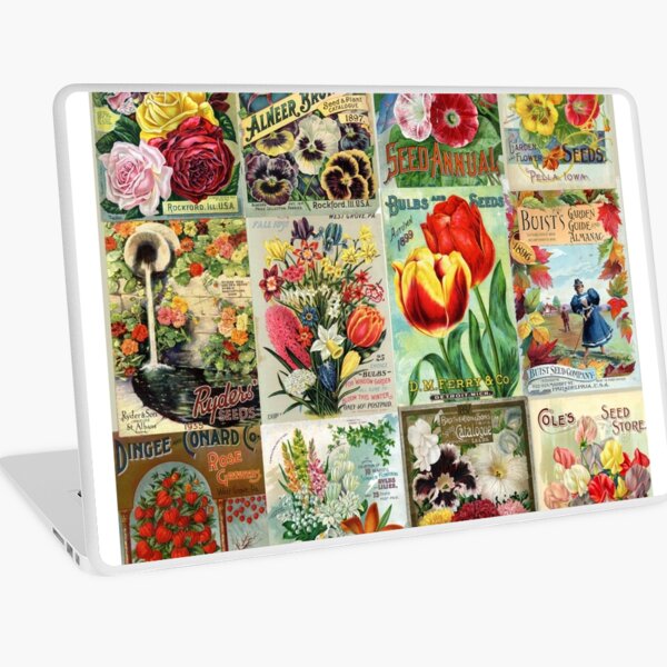 Vintage Flower Seed Packets 1 Poster by Peggy Collins - Fine Art