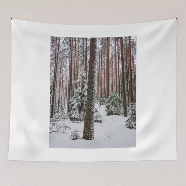 Item preview, The red pines groving high designed and sold by Jouko Lehto Photography.