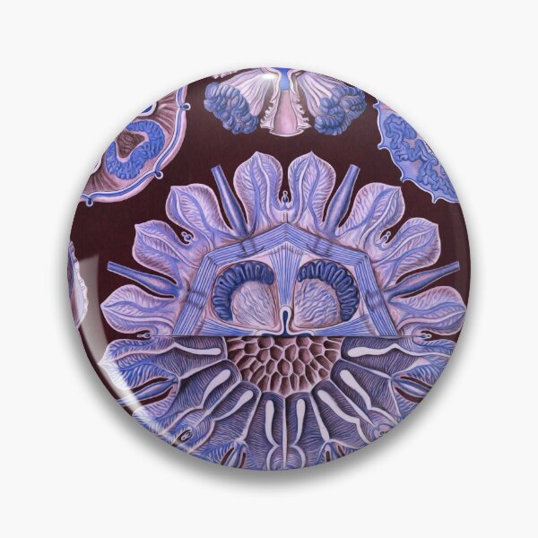 Item preview, Mihowlidae designed and sold by HaeckelART.