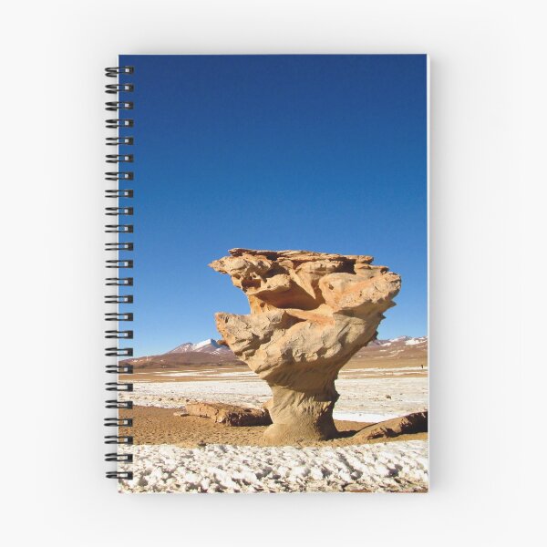Item preview, Stone Head in Bolivian Altiplano High Altitude Dessert - formed by eternity designed and sold by Holzhack3r.
