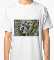 Great Spotted Wood Pecker in woodland. Classic T-Shirt