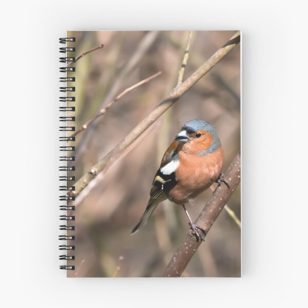 Item preview, A Chaffinch in woodland. designed and sold by Lesogorman.