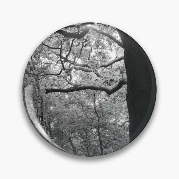 Item preview, Trees off the path between Mill Hill and Totteridge in the summer  designed and sold by joelmeadows1.