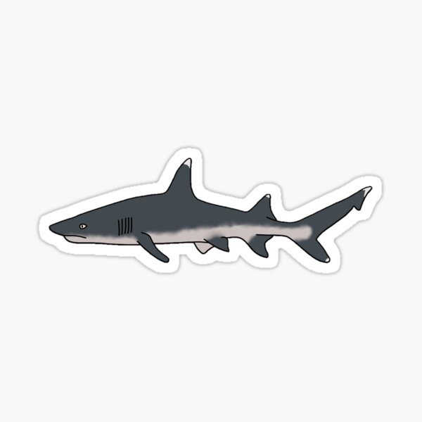 Oceanic White Tip Shark Sticker