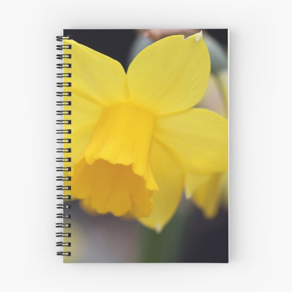 Item preview, Flower taken at a Garden Centre designed and sold by Northern Pix.