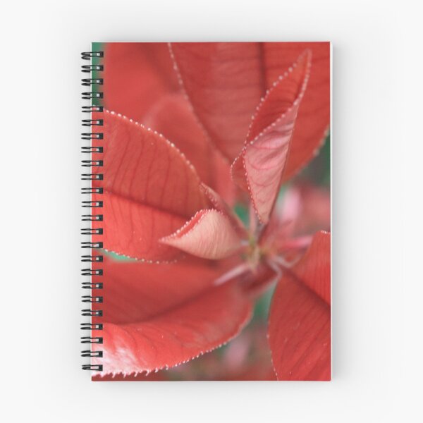 Item preview, Flower taken at Donaghadee Garden Centre designed and sold by Northern Pix.