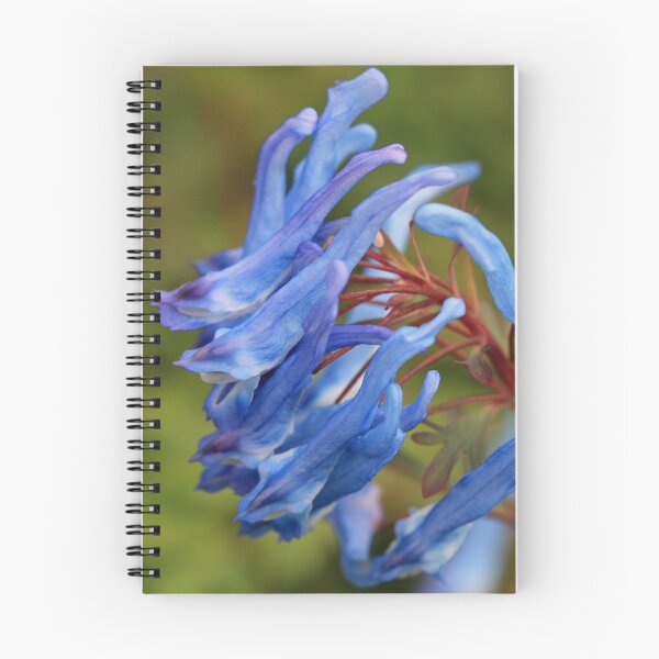 Item preview, Flower taken at Donaghadee Garden Centre designed and sold by Northern Pix.