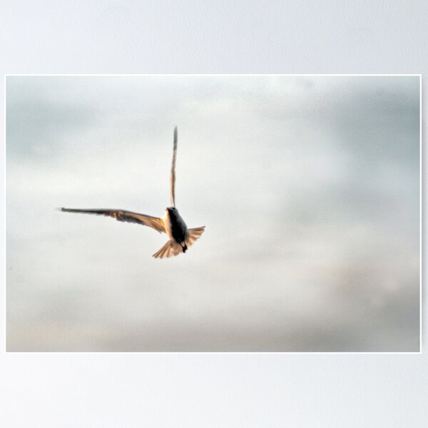 Item preview, Bird in Flight designed and sold by VASSdesign.