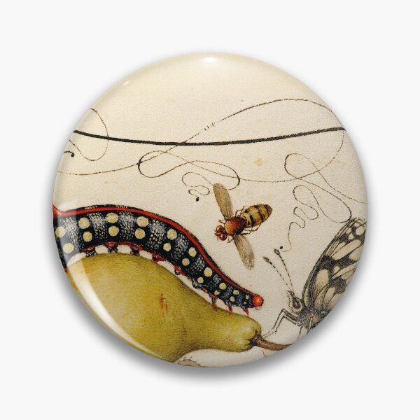 Item preview, Vintage Flower Fly Caterpillar Pear Centipede  manuscript parchment designed and sold by aurielaki.