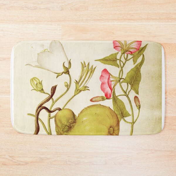 Item preview, Vintage Flower Fly Blister Beetle Willow Bellflower Gourd Bindweed manuscript parchment designed and sold by aurielaki.
