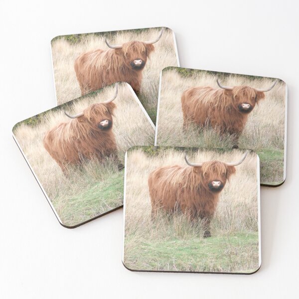 Item preview, Highland Cattle designed and sold by amdavies.