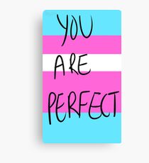 You are perfect- transgender Canvas Print