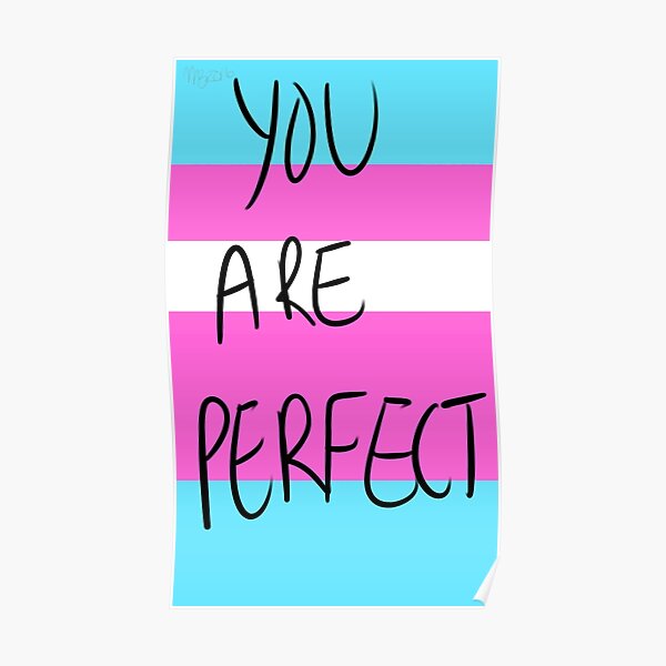 You are perfect- transgender Poster