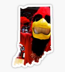 Cardinals Sticker