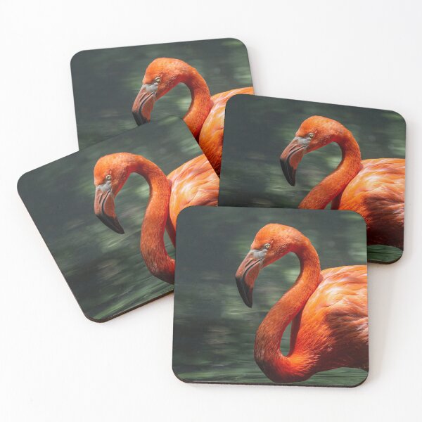 Item preview, American flamingo designed and sold by pietrofoto.