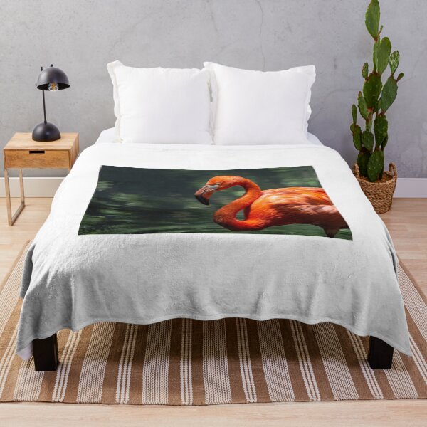 Item preview, American flamingo designed and sold by pietrofoto.