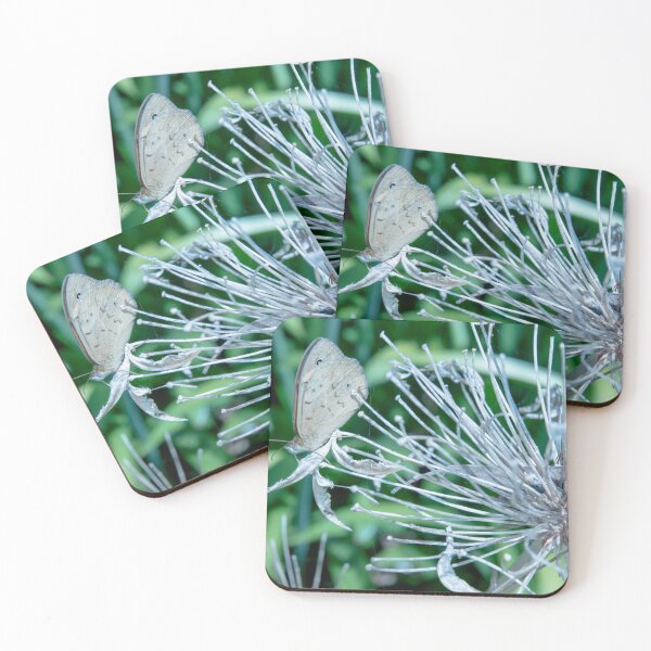 Item preview, Camouflaged Butterfly designed and sold by imaginethis.