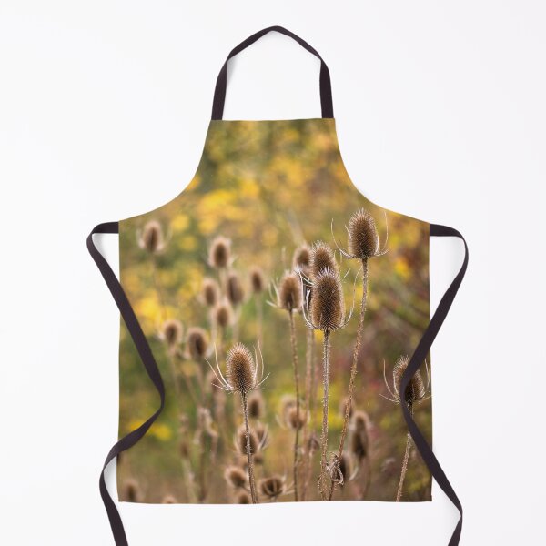Item preview, Teasels in Autumn (Dipsacus Fullonum) designed and sold by ccullen222.