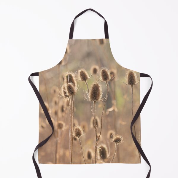 Item preview, Teasels (Dipsacus Fullonum) designed and sold by ccullen222.