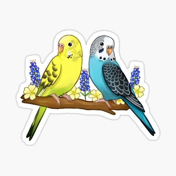 Budgie Sticker blue/green/yellow Color Option Cute Bird Stickers, Parakeet  Sticker, Kawaii Stickers 