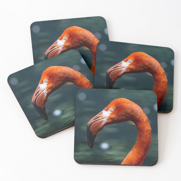 Item preview, American flamingo designed and sold by pietrofoto.