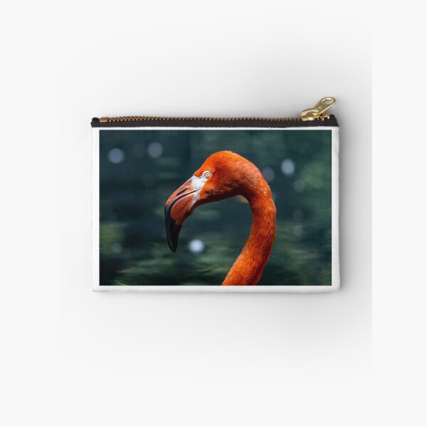 Item preview, American flamingo designed and sold by pietrofoto.