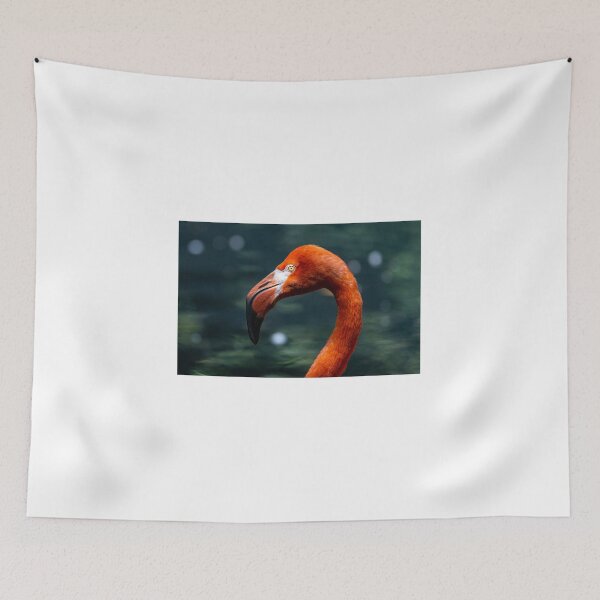 Item preview, American flamingo designed and sold by pietrofoto.