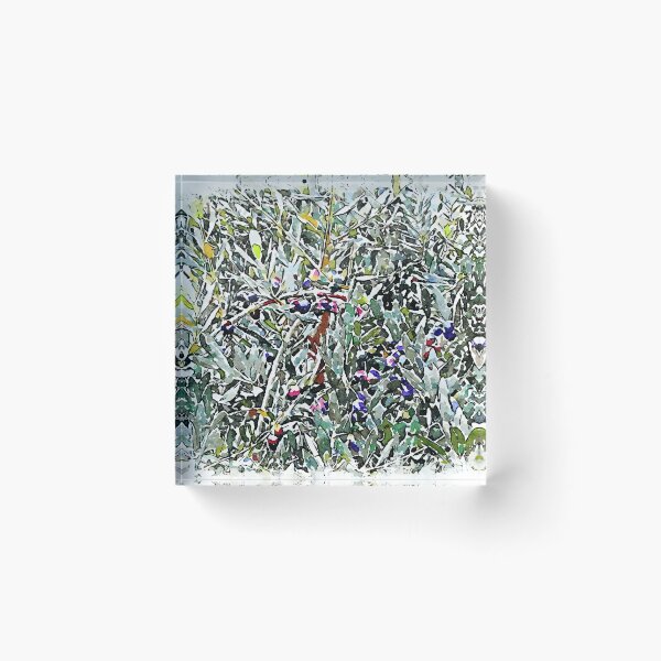 Item preview, Hortus Conclusus: olive tree designed and sold by Giuseppe Cocco.