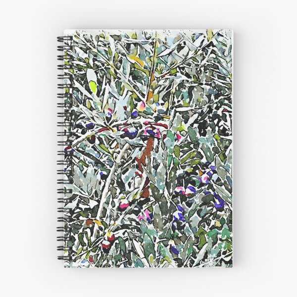 Item preview, Hortus Conclusus: olive tree designed and sold by Giuseppe Cocco.