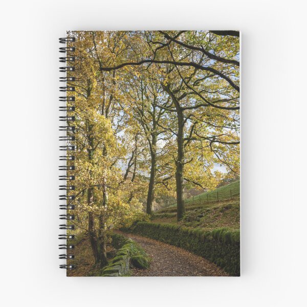 Item preview, Coniston footpath designed and sold by ccullen222.