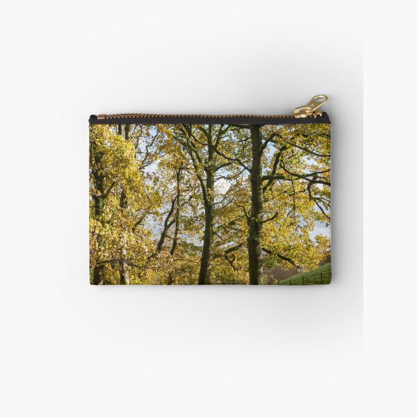Item preview, Coniston footpath designed and sold by ccullen222.